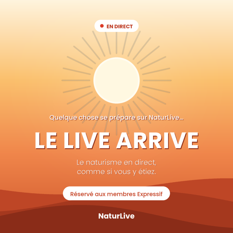 Le Casting des Soleils d’Or est ouvert ☀️